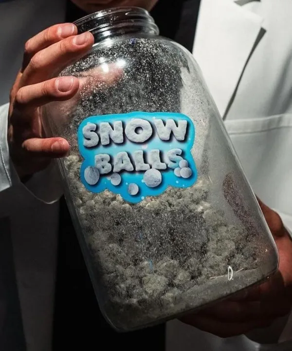 Buy Snowcap weed 1 pound Jar, weed snow caps , snow caps weed .Coated in lemon cherry gelato 99% thc shop now at discount price PersyDiamonndshop