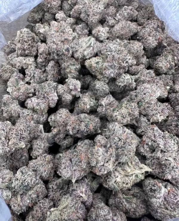 Lemon Cherry Snowball Strain, snow caps moonrock for sale in stock, gumbo snowballs, snowcap white weed, Buy ice caps weed strain in stock